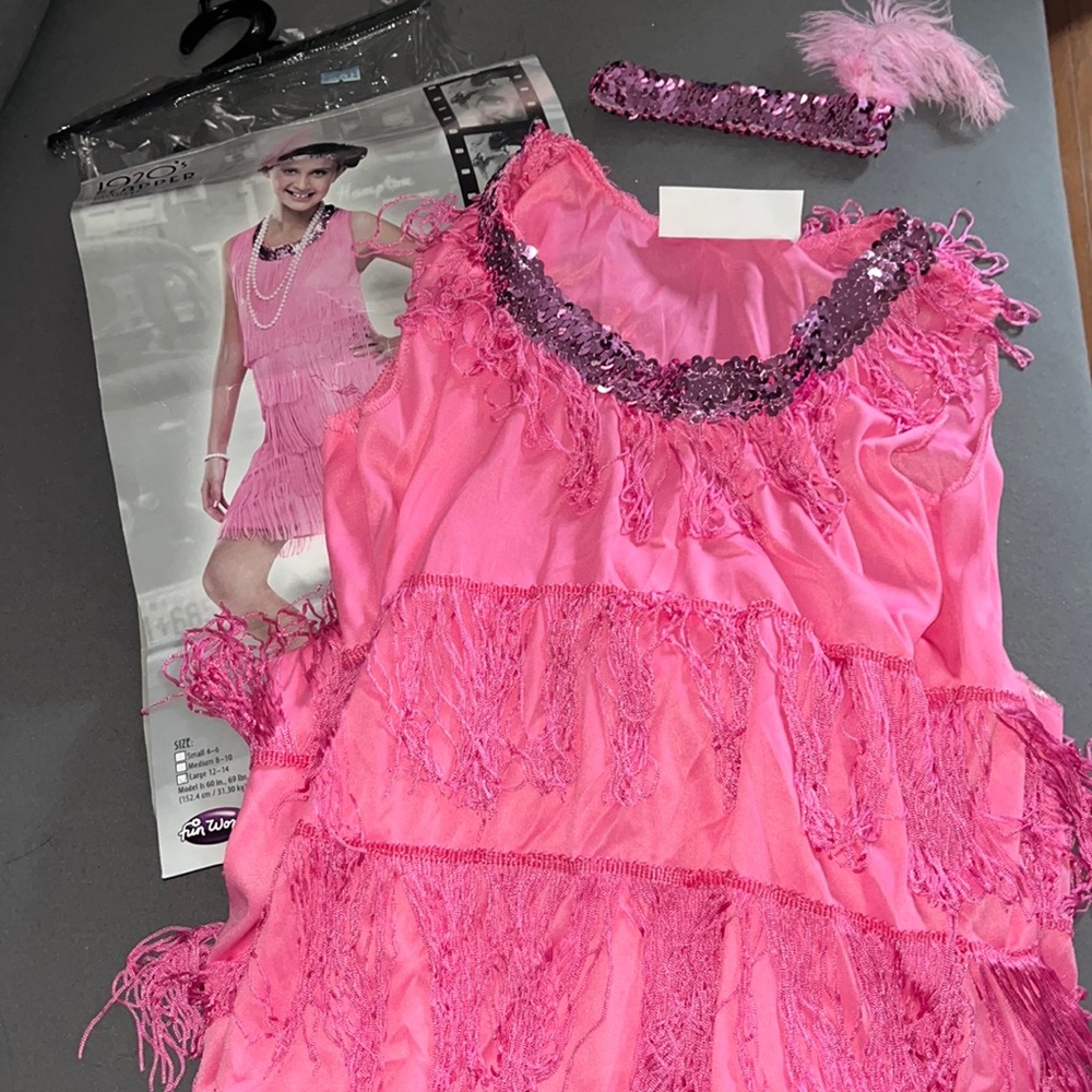 Pink Big Girls Flapper Dress